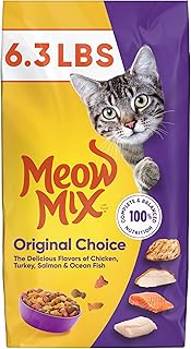 Best Cat Food