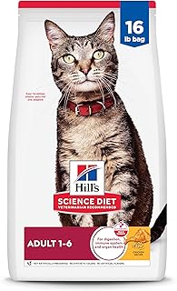 Best Cat Food