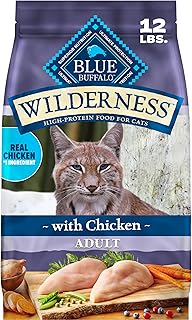 Best Cat Food