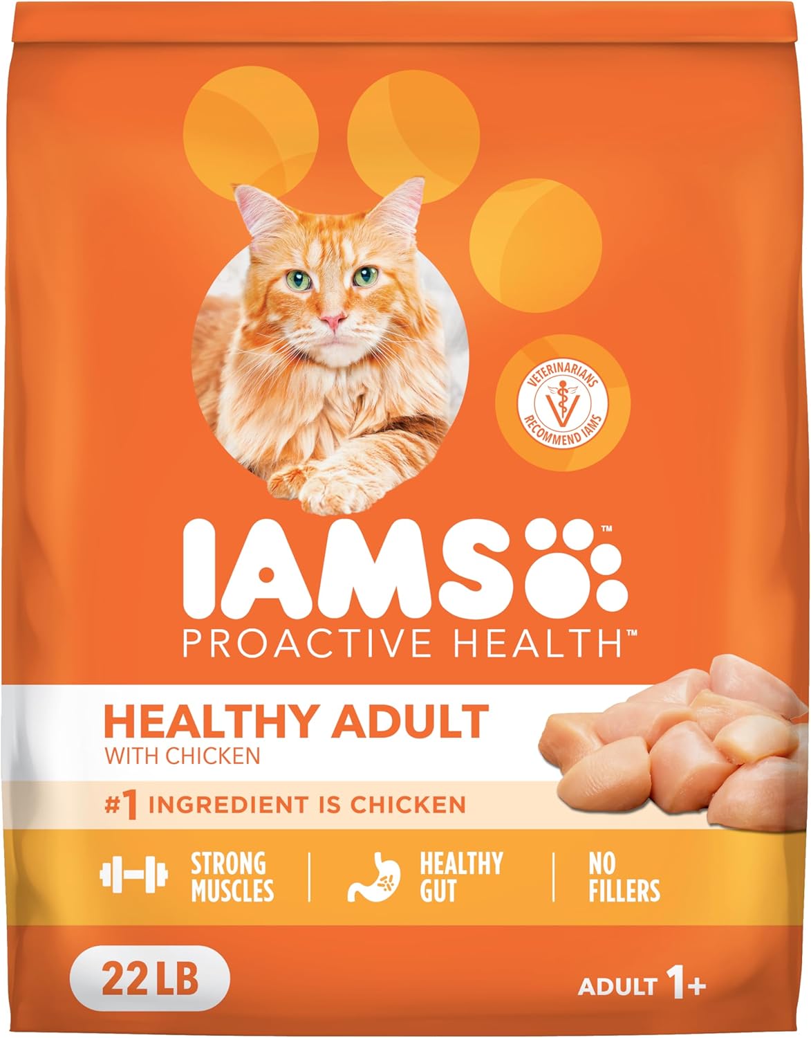 Best Cat Food