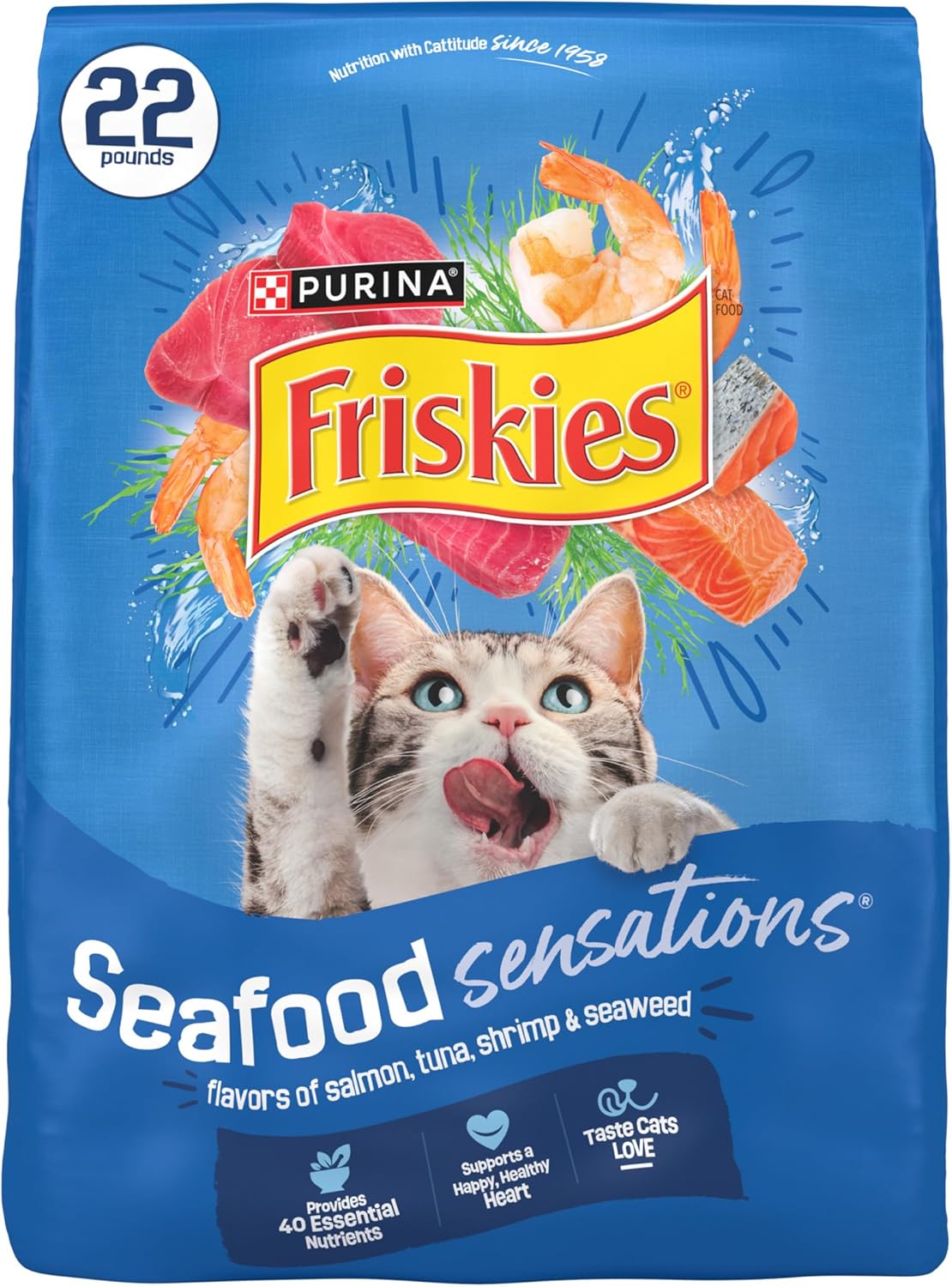 Best Cat Food