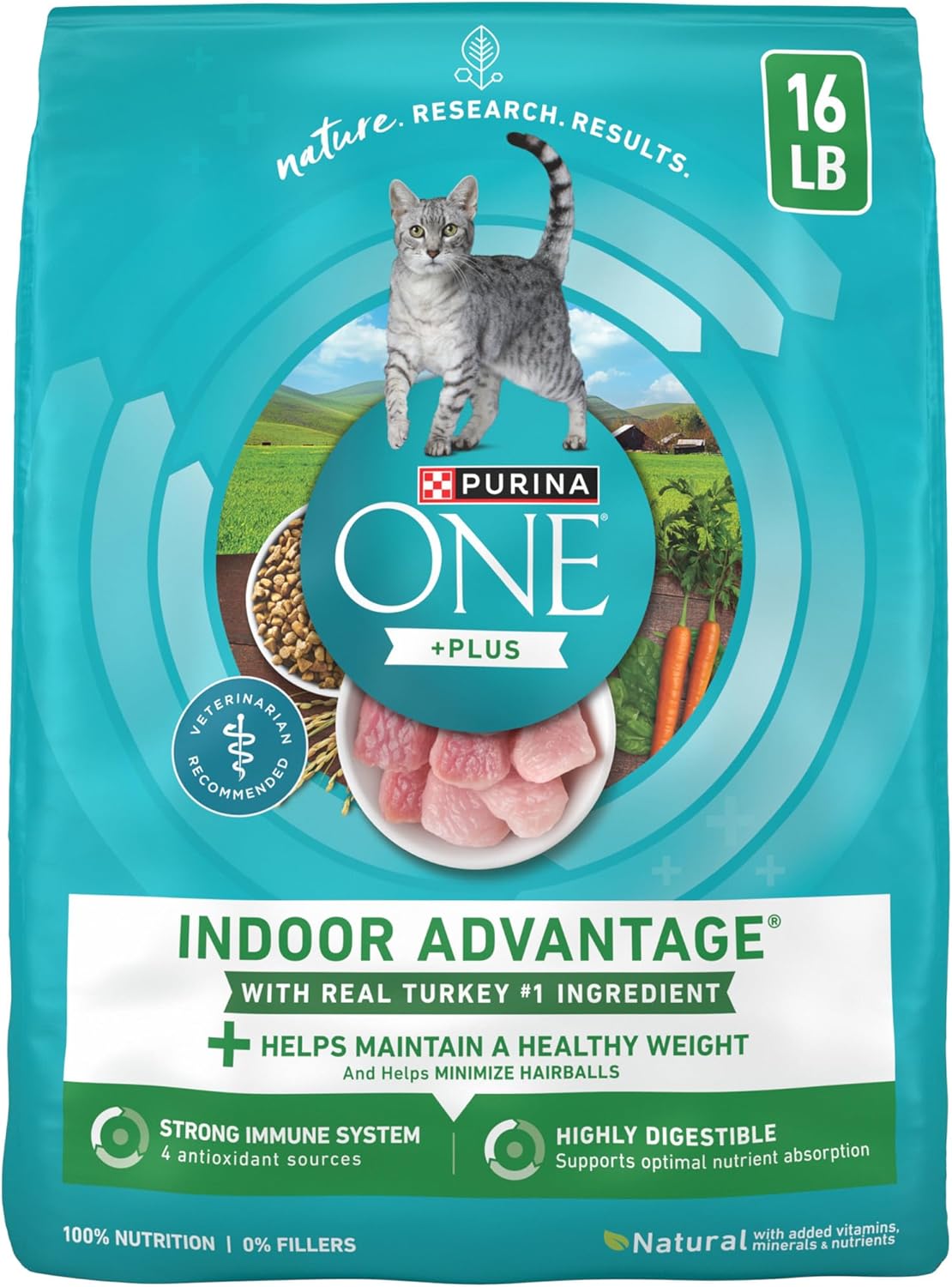 Best Cat Food