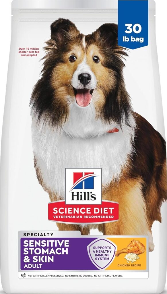 Best Fresh Dog Food