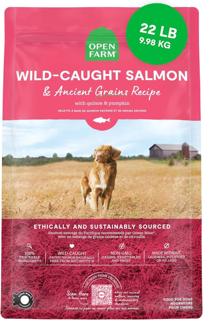Best Fresh Dog Food