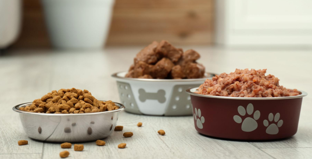 Dry Food vs. Wet Food