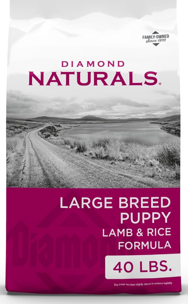 Best Fresh Dog Food