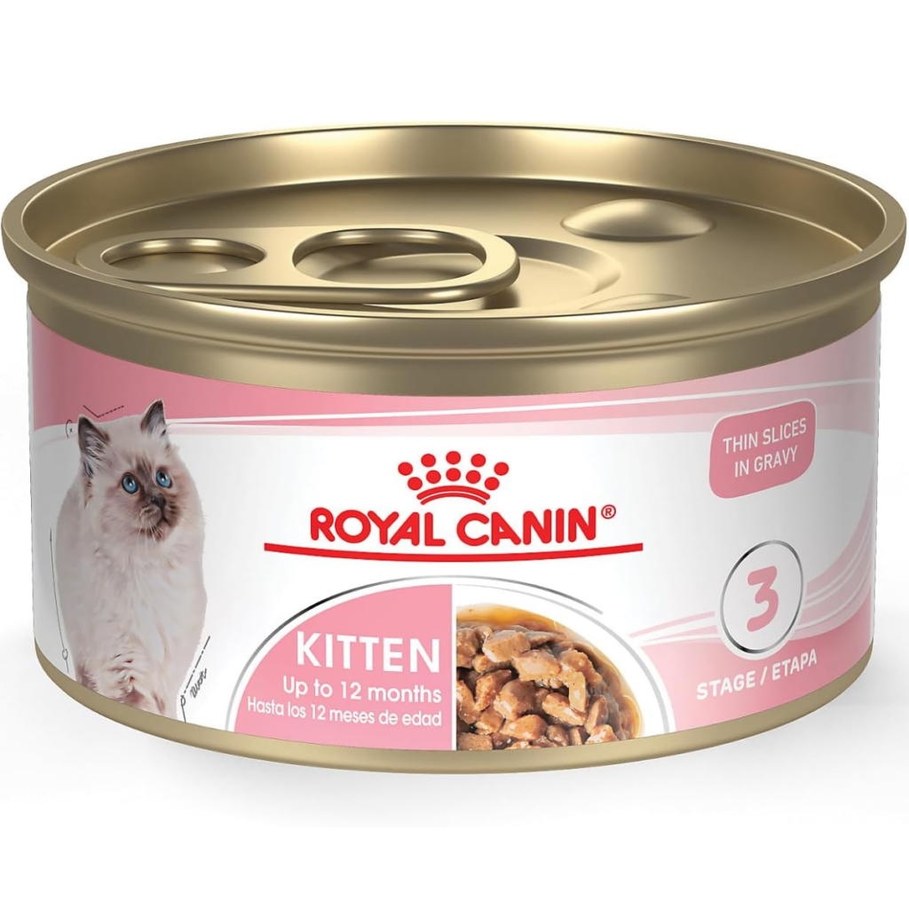 Wet Kitten Food