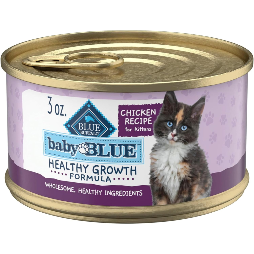Wet Kitten Food