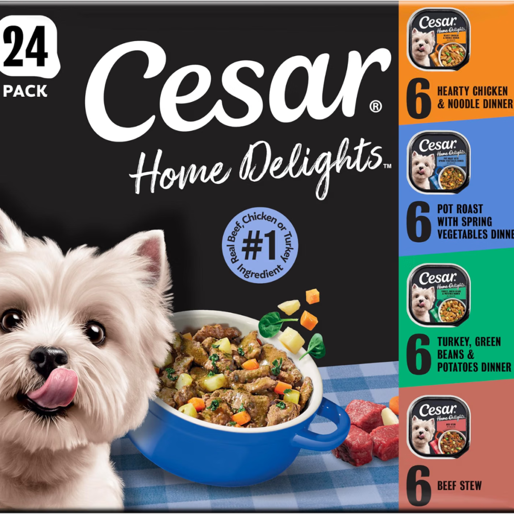 Wet Dog Food for Picky Eaters