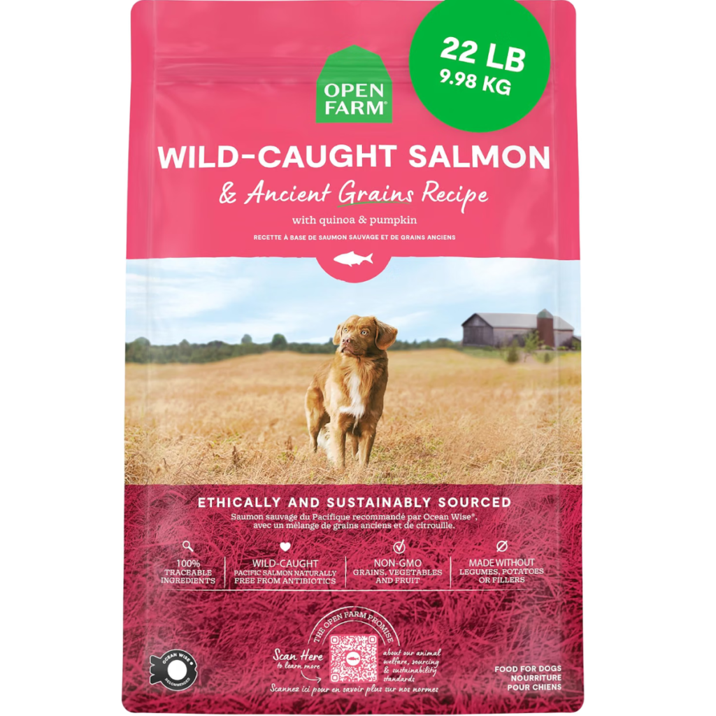 Best Dog Food Brands