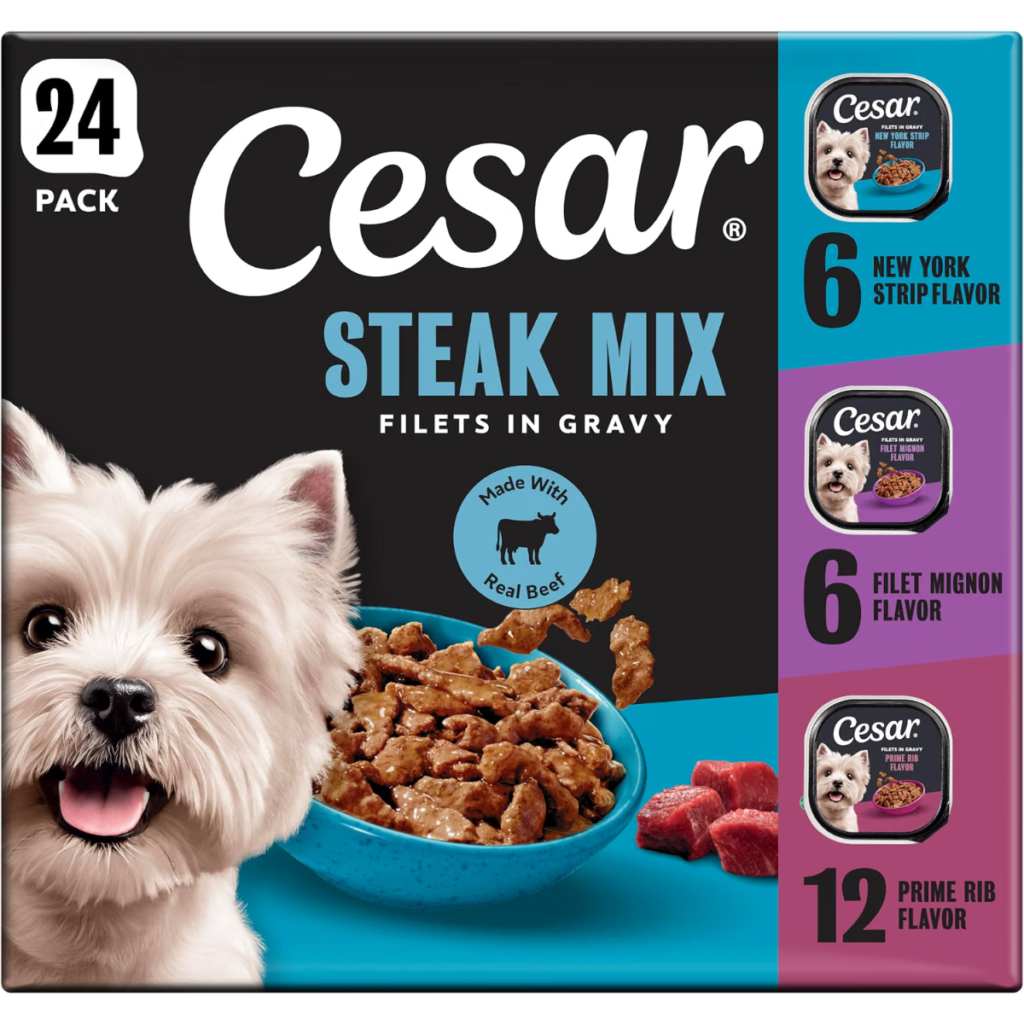 Cesar Filets in Gravy Wet Dog Food