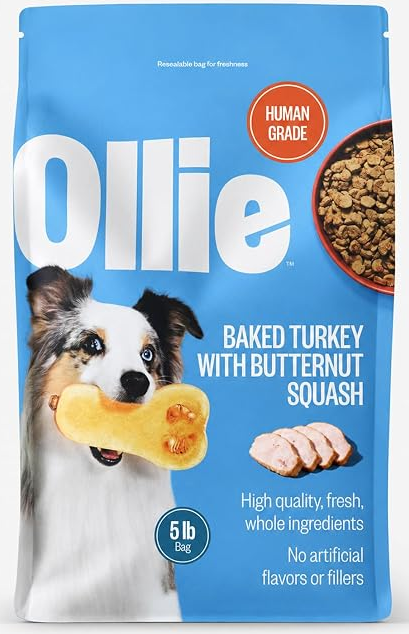 Best Fresh Dog Food